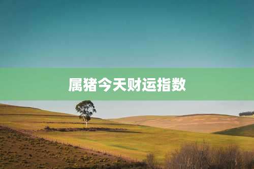 属猪今天财运指数