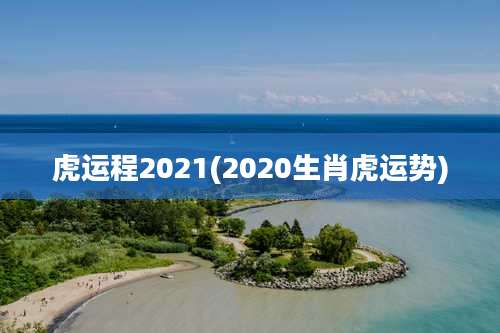 虎运程2021(2020生肖虎运势)