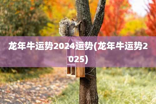 龙年牛运势2024运势(龙年牛运势2025)