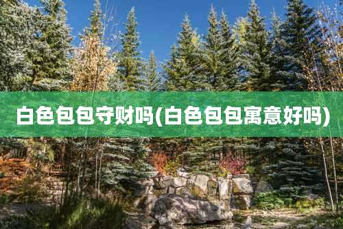 白色包包守财吗(白色包包寓意好吗)