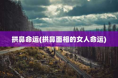 拱鼻命运(拱鼻面相的女人命运)