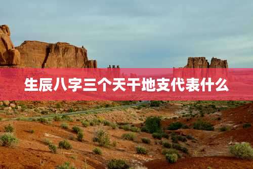 生辰八字三个天干地支代表什么