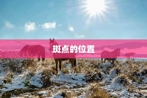 斑点的位置