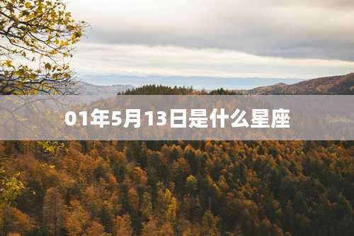 01年5月13日是什么星座