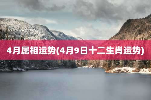 4月属相运势(4月9日十二生肖运势)