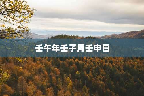 壬午年壬子月壬申日