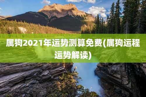 属狗2021年运势测算免费(属狗运程运势解读)