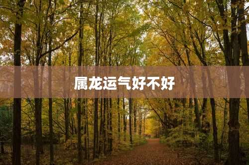 属龙运气好不好