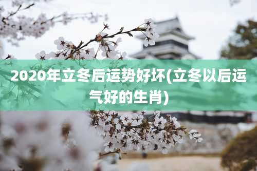 2020年立冬后运势好坏(立冬以后运气好的生肖)