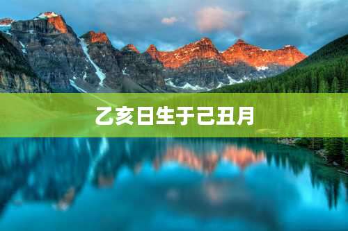 乙亥日生于己丑月
