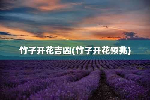 竹子开花吉凶(竹子开花预兆)