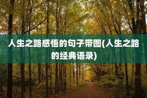 人生之路感悟的句子带图(人生之路的经典语录)