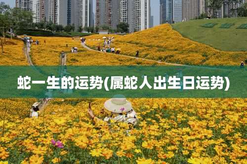 蛇一生的运势(属蛇人出生日运势)