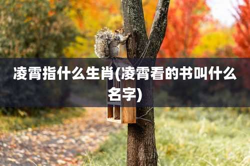 凌霄指什么生肖(凌霄看的书叫什么名字)