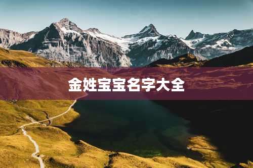 金姓宝宝名字大全