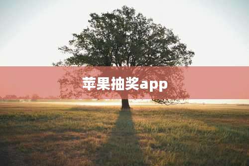 苹果抽奖app