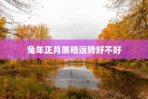 兔年正月属相运势好不好