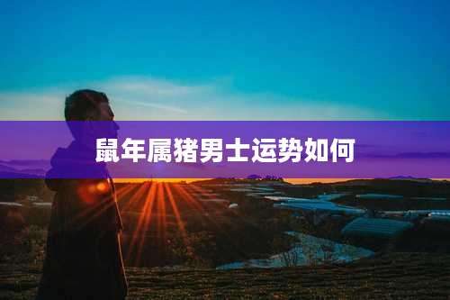 鼠年属猪男士运势如何