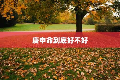 庚申命到底好不好