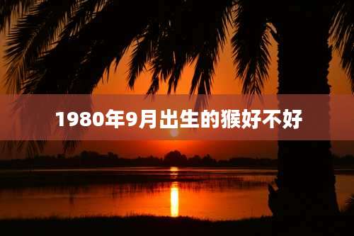 1980年9月出生的猴好不好