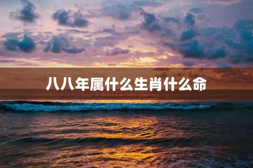 八八年属什么生肖什么命