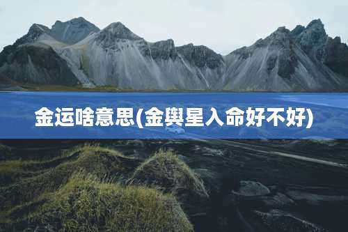 金运啥意思(金舆星入命好不好)