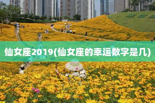 仙女座2019(仙女座的幸运数字是几)