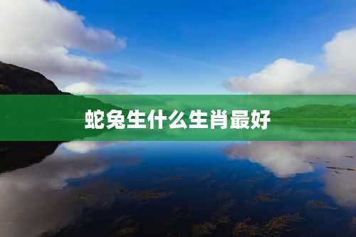 蛇兔生什么生肖最好