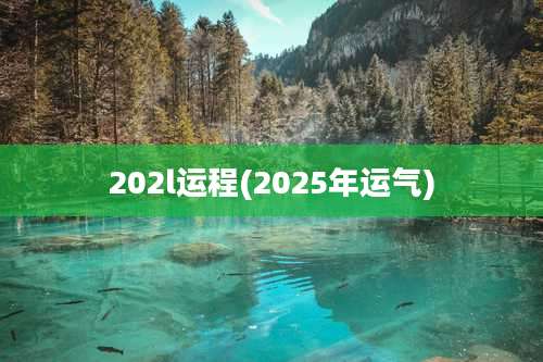 202l运程(2025年运气)