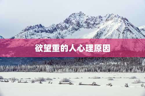 欲望重的人心理原因
