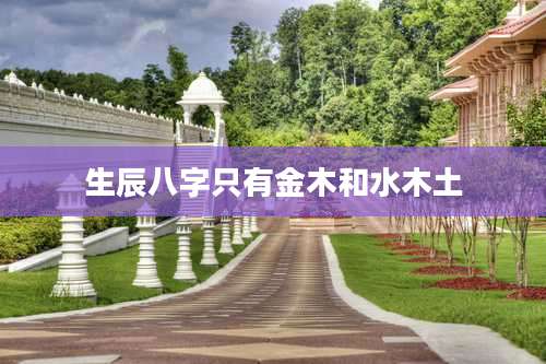 生辰八字只有金木和水木土