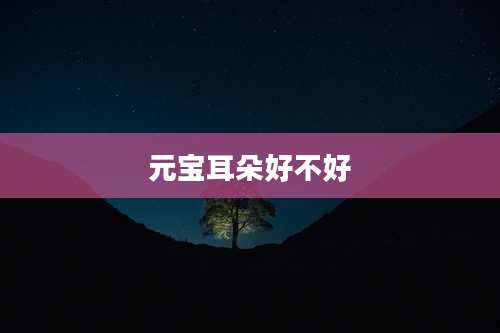 元宝耳朵好不好