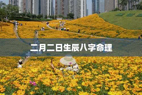 二月二日生辰八字命理