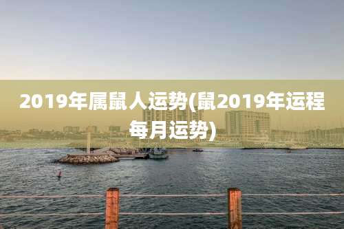 2019年属鼠人运势(鼠2019年运程每月运势)