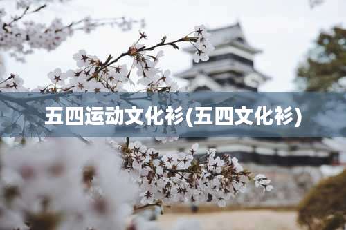 五四运动文化衫(五四文化衫)