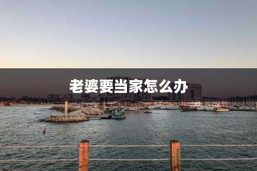 老婆要当家怎么办