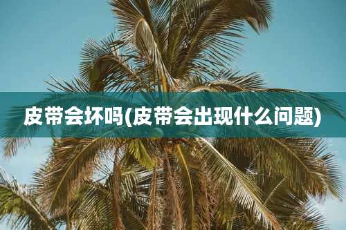 皮带会坏吗(皮带会出现什么问题)