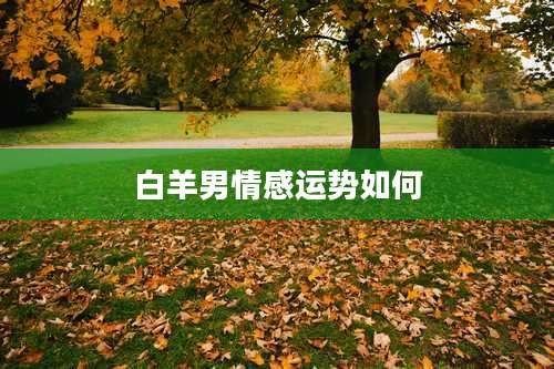 白羊男情感运势如何