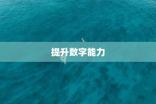 提升数字能力