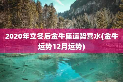 2020年立冬后金牛座运势喜水(金牛运势12月运势)