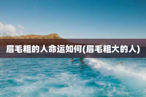 眉毛粗的人命运如何(眉毛粗大的人)