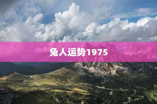 兔人运势1975