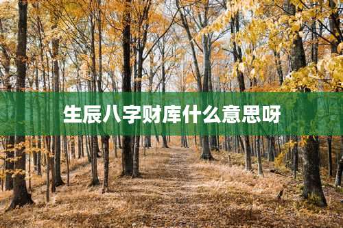 生辰八字财库什么意思呀
