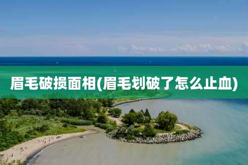 眉毛破损面相(眉毛划破了怎么止血)