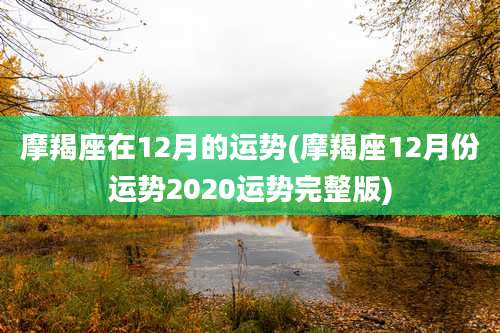 摩羯座在12月的运势(摩羯座12月份运势2020运势完整版)