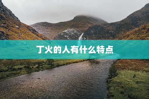 丁火的人有什么特点