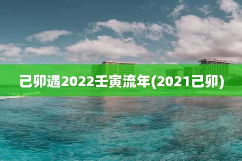 己卯遇2022壬寅流年(2021己卯)