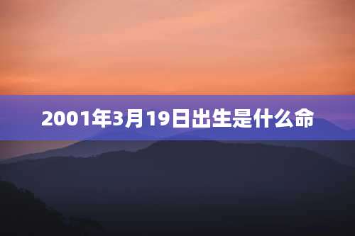 2001年3月19日出生是什么命