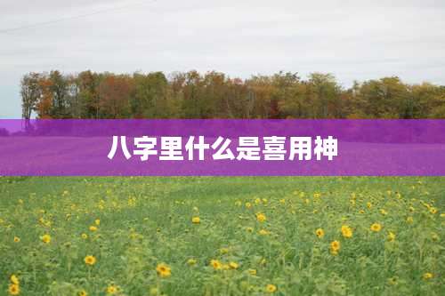 八字里什么是喜用神