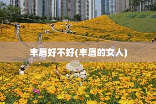 丰唇好不好(丰唇的女人)